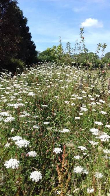 Green Bank Farmhouse