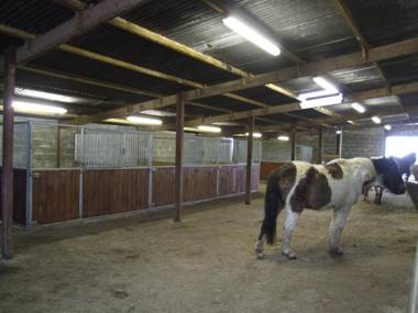 Llangwyryfon Country Breaks