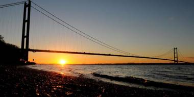 The Whittington and Cat