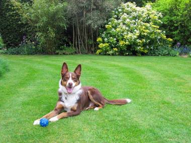 St Jude's Bed & Breakfast