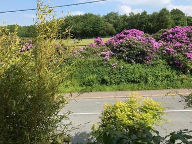 St Jude's Bed & Breakfast