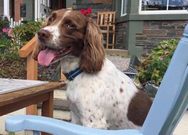 The Mount self-catering