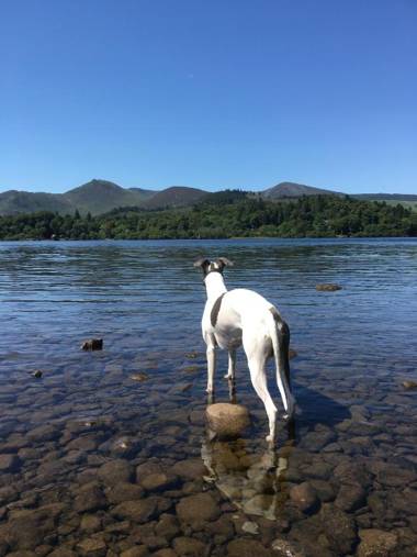 Rivendell Guest House