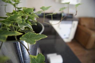 Romneys Apartments & Suites