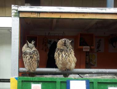 Torridon Guest House