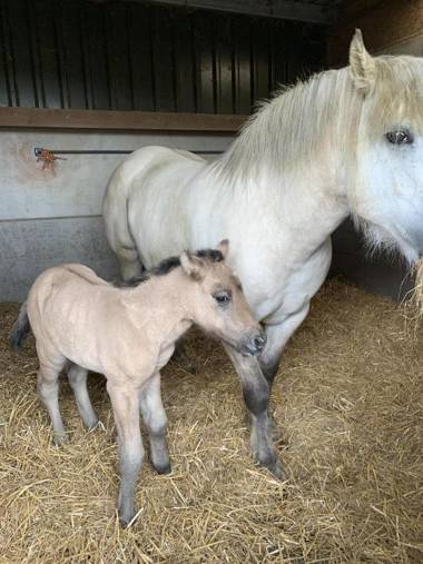 Remarkable 1-Bed Apartment in Huntingdon