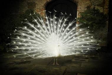 Amberley Castle- A Relais & Chateaux Hotel