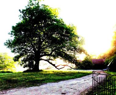 The Mill House on the Brooks South Downs West Sussex Sleeps 15