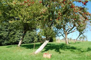 Orchard Barn Woodhayes
