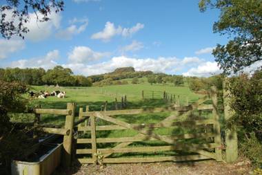 Orchard Barn Woodhayes