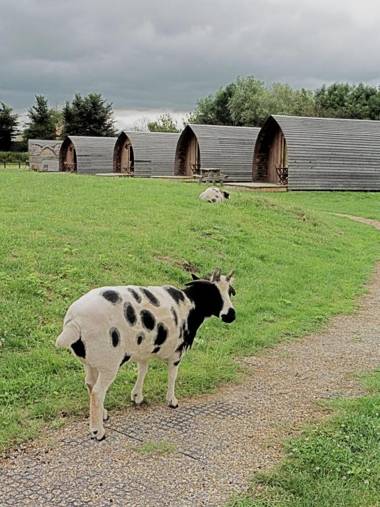 Wall Eden Farm - Luxury Log Cabins and Glamping