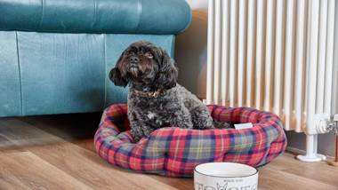 Host & Stay - Greenside