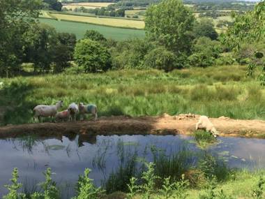 The Stables at Boreham House