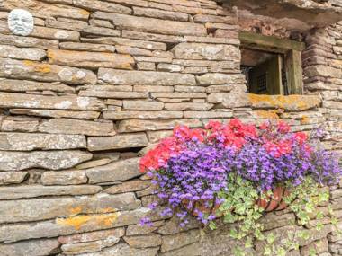 The Cow Cott Hereford