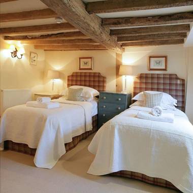 Tiger Inn - Patience