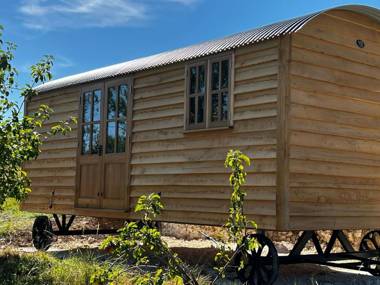 Robins Retreat - Shepherds Hut within orchard