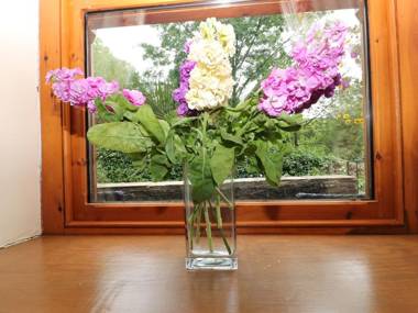 Brook Cottage High Peak