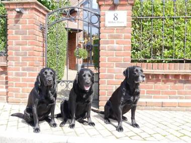 Millers House Boutique B&B