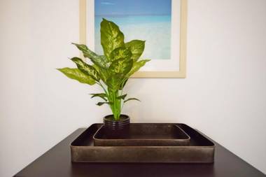 Sea Scene's  Hayling Island