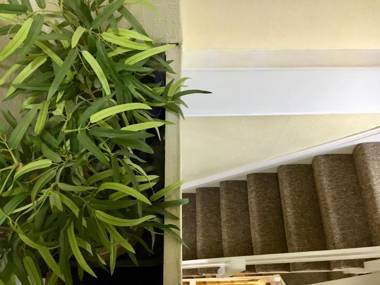 Brafferton Guest House