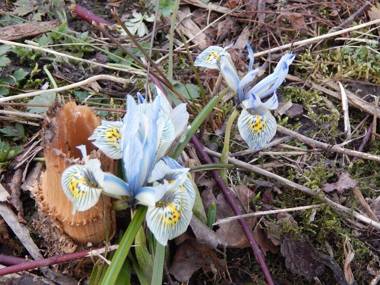 Cold Cotes Guest House