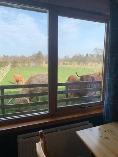 Orchard House Lodges by Ecohuman