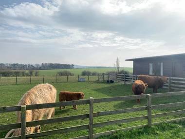 Orchard House Lodges by Ecohuman