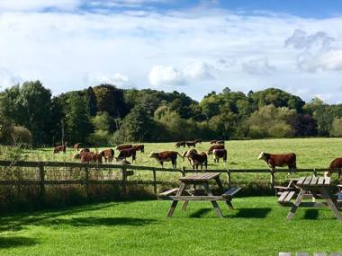 The Talbot at Knightwick