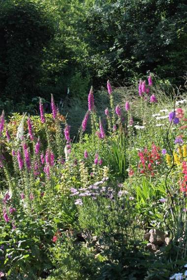 Ashbury Bed & Breakfast