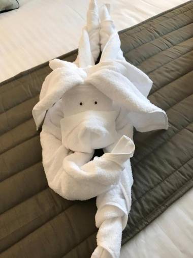 Queens arms country inn