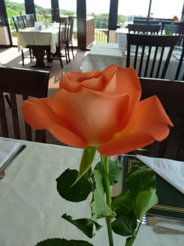 Monturpie Guest House