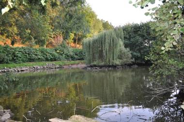 Black Mountain Lodge