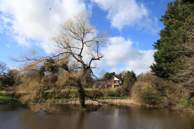 Cwmbach Lodge luxury B&B