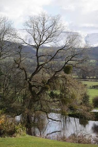 Cwmbach Lodge luxury B&B