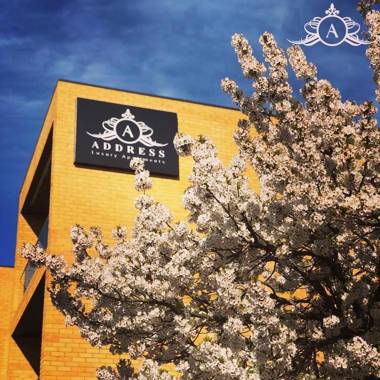 LARGE Spacious Modern Apartment