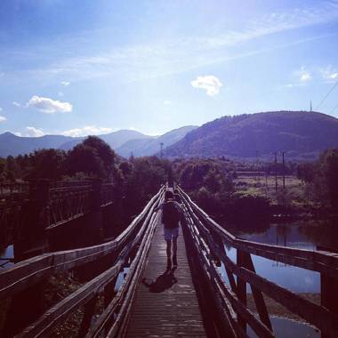 Chase the Wild Goose