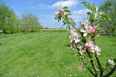 Frith Farm House Cottages