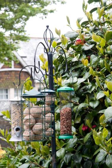 Lyonesse Guest House