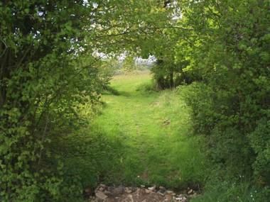 2 Shippen Cottages Hayne Lane