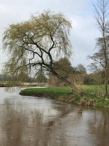 Charming 1-Bed Cottage near Sidmouth