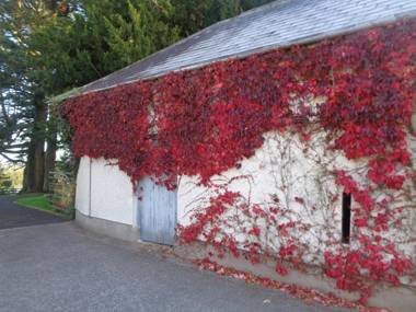 Dromard House