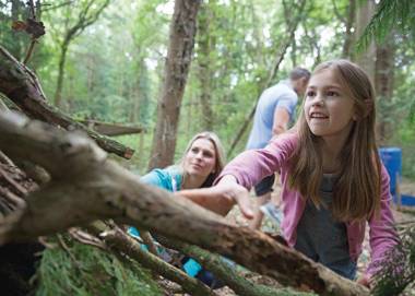 Woodland Park Lodges