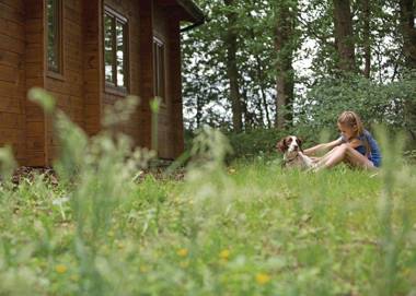 Woodland Park Lodges