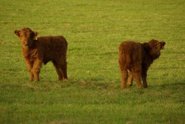 Craigadam Country House Hotel Castle Douglas