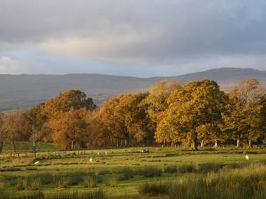 Loch Lomond Finnich Cottages