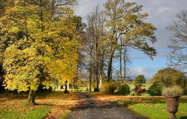 Loch Lomond Finnich Cottages