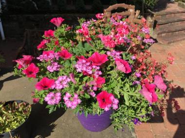 Loaninghead Holidays