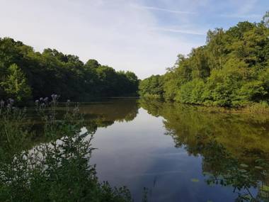 The Inn On The Green