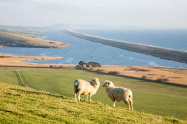 New Inn - Dorchester