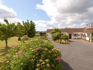 Little Waycroft Dawlish